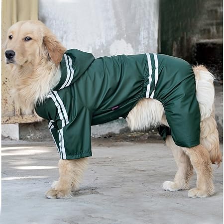 springer spaniel waterproof coat