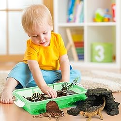 Plastic Activity Tray with lid for