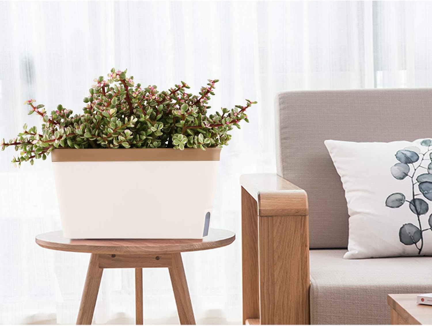 T4U Self Watering Planter Pot Rectangle 27CM Set of 3 - Image 5
