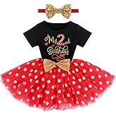 Baby Girls 1st 2nd Birthday Outfit Mouse Ladybug Dress Headband Polka Dots Tutu Skirt Set ONE Cake Smash Photo Shoot