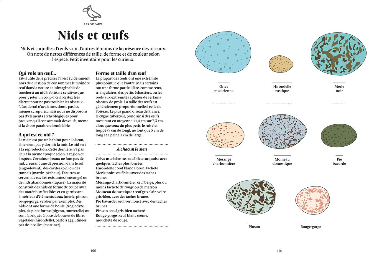 Guide De Survie Sur Les Traces De Néandertal
