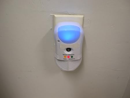 Do Ultrasonic Pest Repellers Work On Scorpions Pest Control Diagram