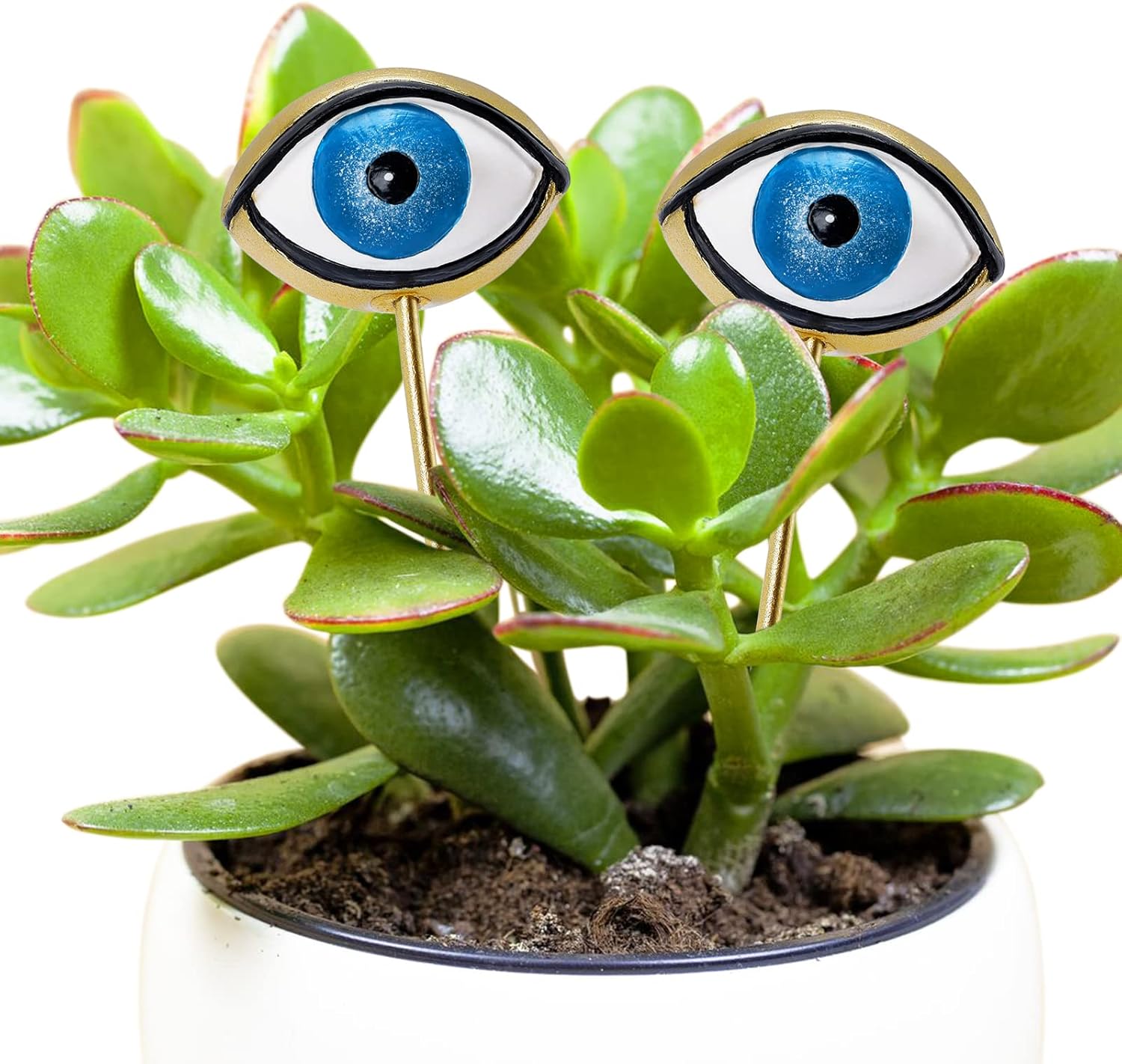 Decorative Garden Stakes - Tuitessine Resin Plant Eyes Stakes Set of 2, Eyeball Garden Plant Accessory, Evil Eye Plant Picks, Indoor Outdoor Plant Pot Decoration, Novelty Gift for Plant Lover, Plant Mom, Plant Lady
