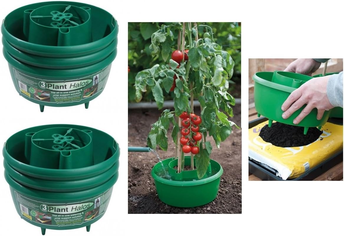2 x Halo Tomato tubs Green Amazon.co.uk Garden & Outdoors