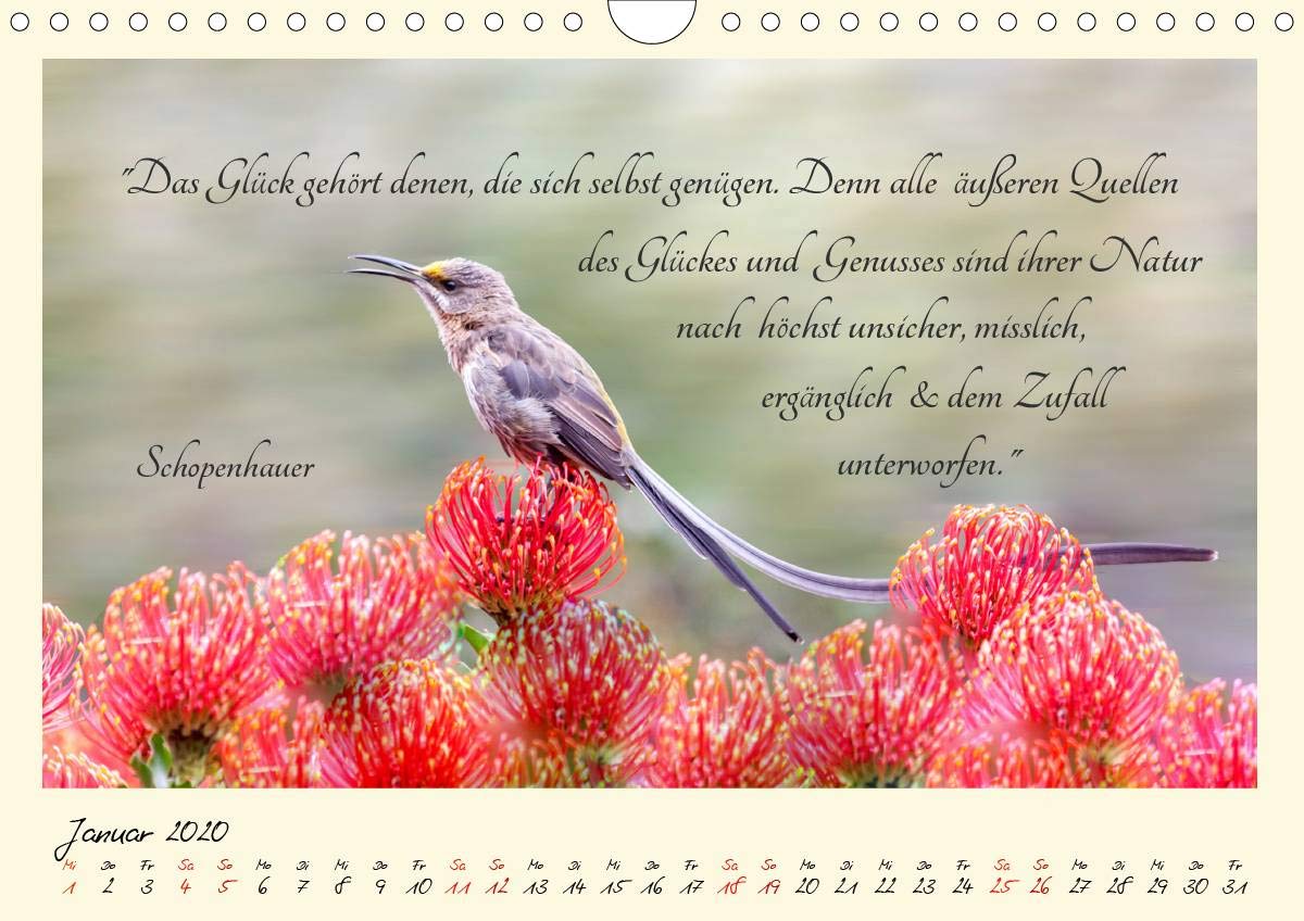 Download Sprueche zu gluecksmomenten Free