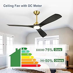 BvenuBigLite Modern Ceiling Fan with Light: Black
