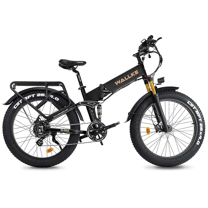 Buy Fat tire Electric Bike for Adults 48V 750W High Speed Wallke X3