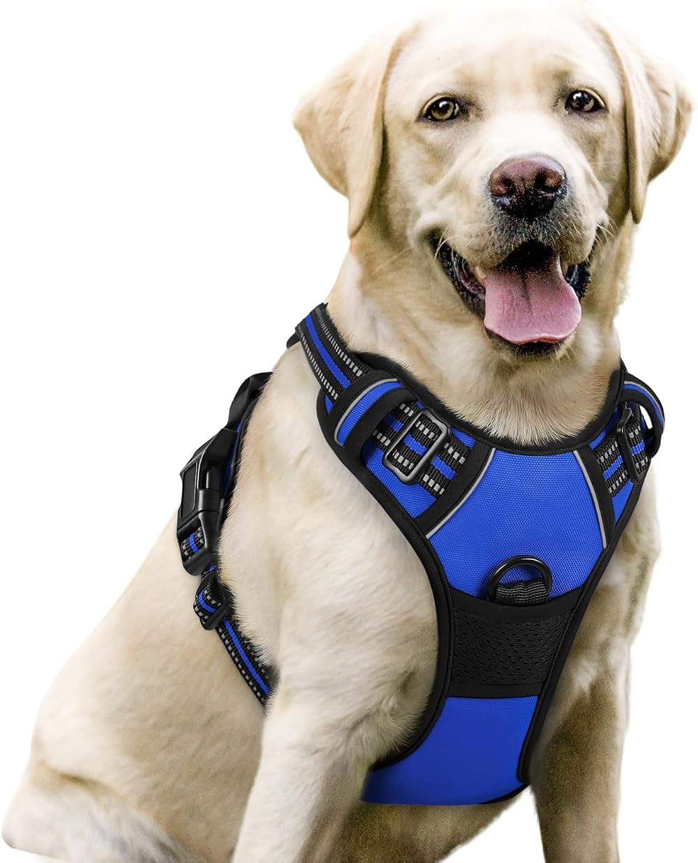 Rabbitgoo Dog Harness Large No Pull Reflective Adjustable Vest with 2 Leash