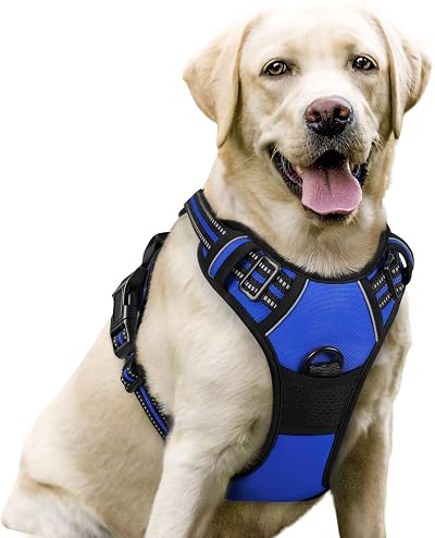 Rabbitgoo Dog Harness Large No Pull Reflective Adjustable Vest with 2 Leash