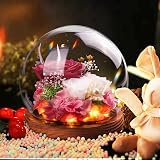 Touloube Preserved Pink Eternal Rose in Glass Dome - Gifts for Her view 4