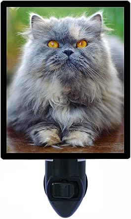 Cat Night Light Grey Persian Cat Led Night Light Amazon Com