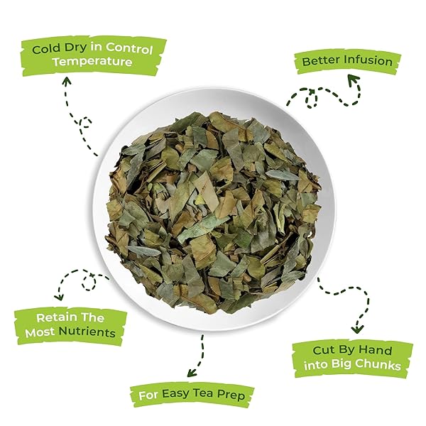 SOURSOP GRAVIOLA DRIED LEAVES TEA, 250+ GUANABANA LEAVES, NO GLUTEN, WILDCRAFTED, HOJA GUANABANA, LOOSE LEAF HERBAL TEA, PRECUT, RELAXING, GOOD SLEEP