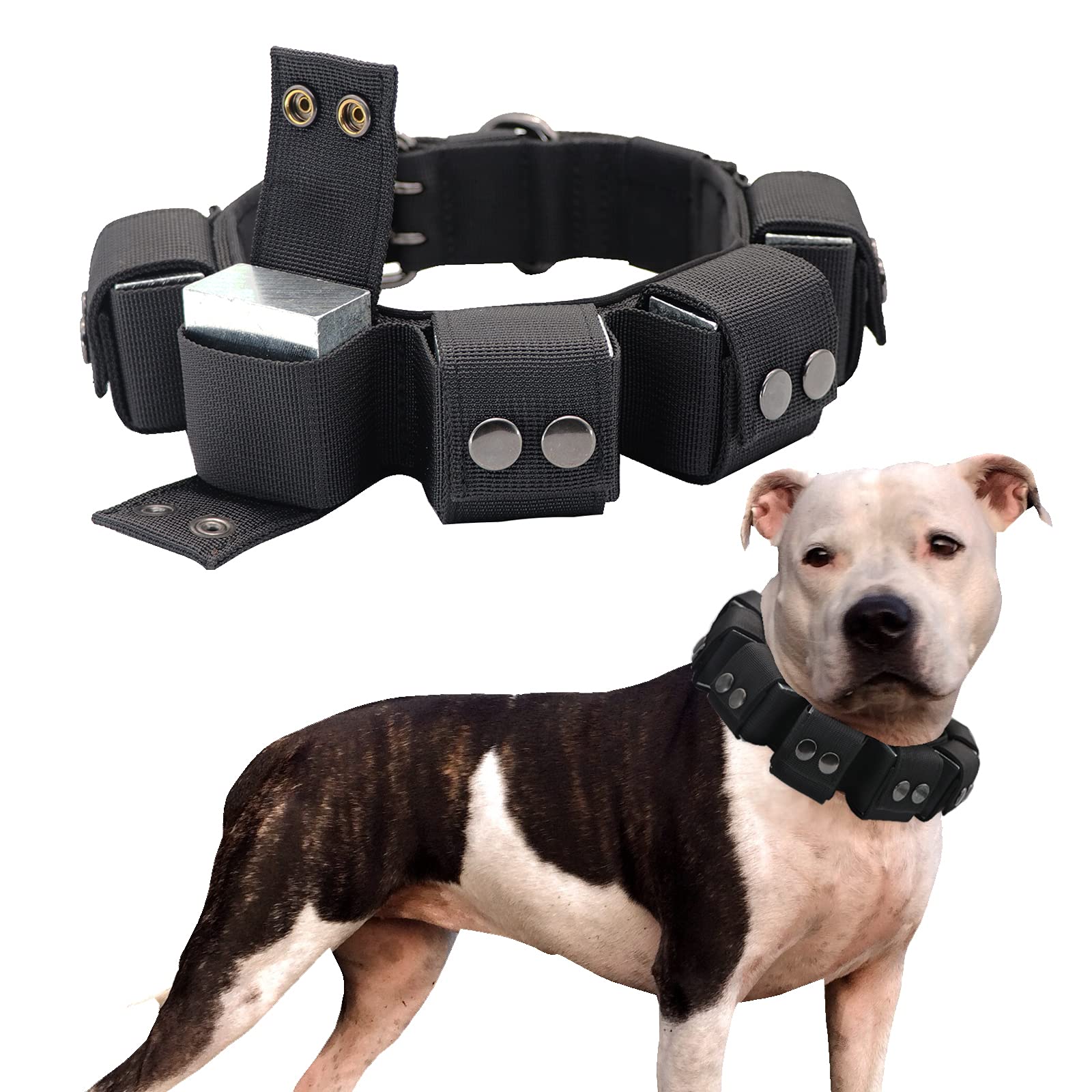 Walktime Tactical Dog Collar With Weights for Training and Exercise - Free Weights for Small, Medium, Large Dogs