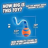 Chuckit! Ultra Tug Dog Toy Medium 6.5 cm Interactive Rubber Ball Tug of War & view 4