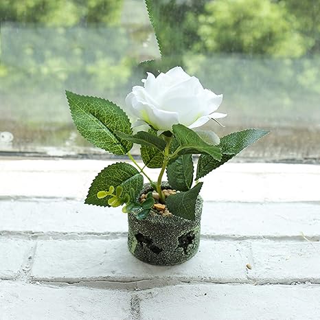Amazon ミニ フェイクグリーン 造花 バラ 薔薇鉢植え フェイクフラワー 防水 世話いらず おしゃれ 枯れない プレミアム 土なし 美術館 玄関 トイレ 装飾用 卒業式 前撮り 彼女 恋人 ギフト ホワイト 高約16cm 造花 オンライン通販