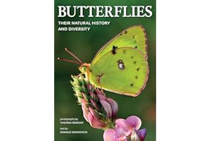 Butterflies: Their Natural History and Diversity