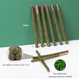 OSDUE Catnip Sticks Cat Teething Toys 12pcs Natural Wood Chews for Teeth view 2