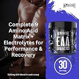 Warrior EAA Amino Acids Powder 360g Blue Raspberry 30 Servings view 3