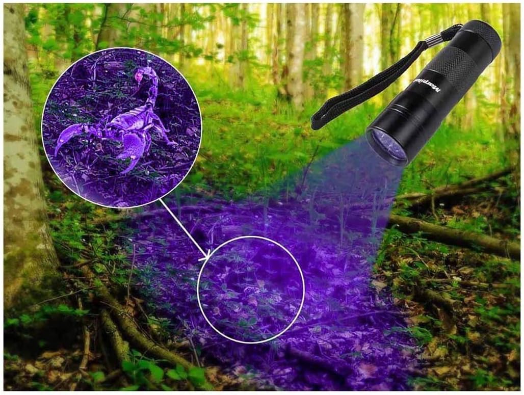 morpilot Black Light, 2 Pcs UV Handheld Blacklight Flashlights 12 Led 395nm Mini Light Torch Detector for Pets Urine and Stains - - 