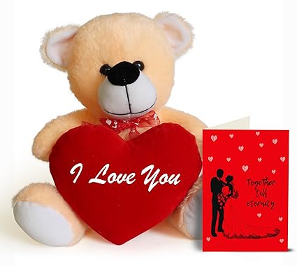 teddy day gift for boyfriend