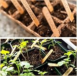KINGLAKE 50Pcs Wooden Plant Labels with Marker Pen 11.4x1cm Birch Wood Tags view 4