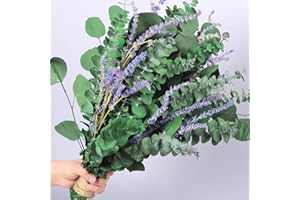 115 PCS Large Dried Preserved Eucalyptus Stems & Lavender Flowers Bundle for Shower, 17'' Real Fresh Hanging Silver Dollar Le