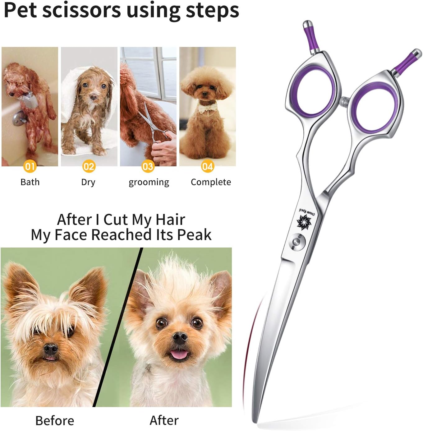 Dream Reach Professional 6.5 Inch Dogs Grooming Curved Scissors, Pet