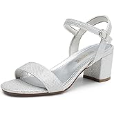 DREAM PAIRS Women's Low Heels Block Open Toe Ankle Strap Classic Short Chunky Sandals with Buckle for Daily Work Wedding Party