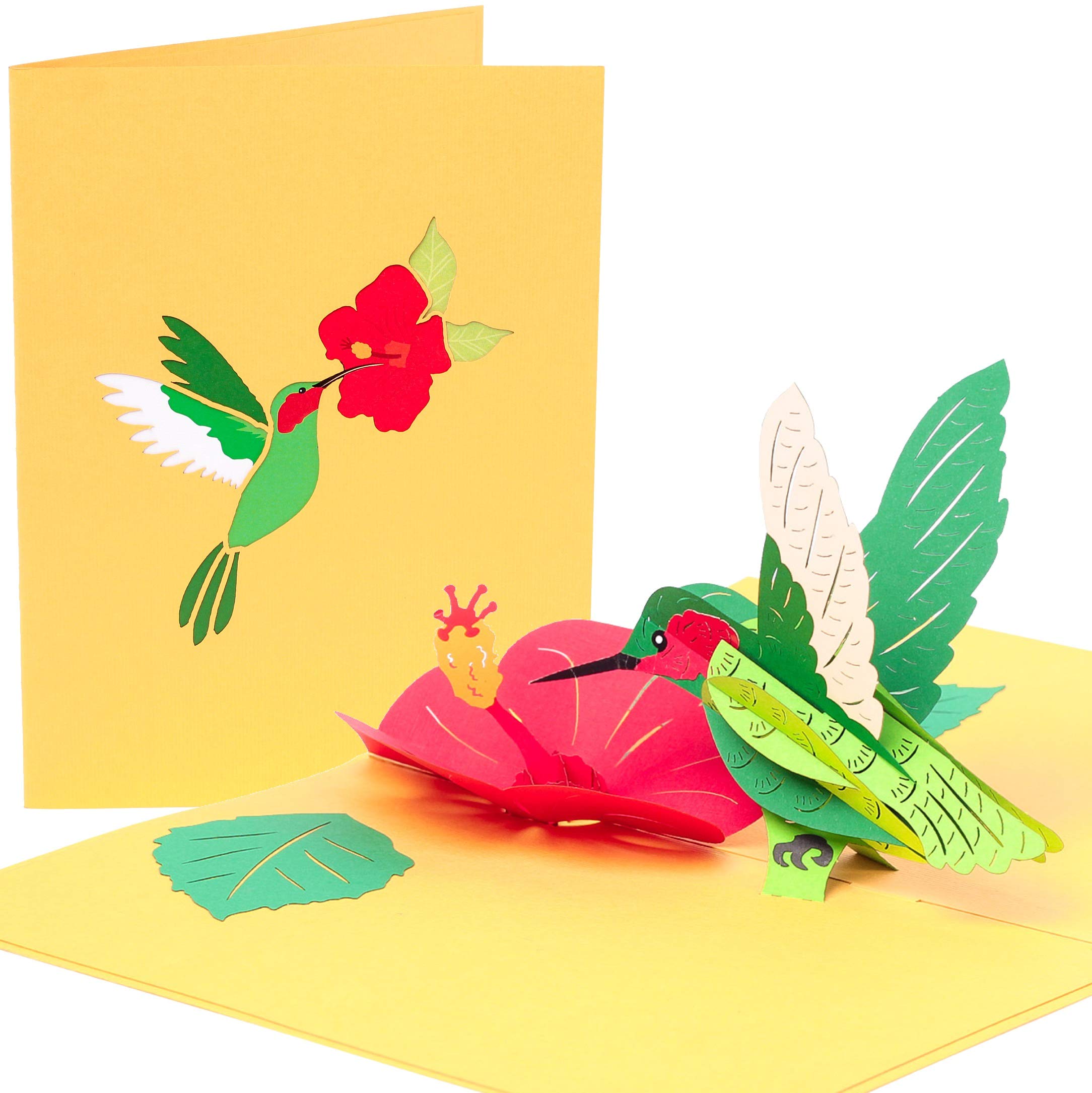 PopLife® Hummingbird and Hibiscus 3D Pop Up Mother’s Day Card - Anniversary, Flower Birthday Card for Mom, Thank You, Get Well, Congratulations - for Sister, for Daughter, for Grandma, for Wife