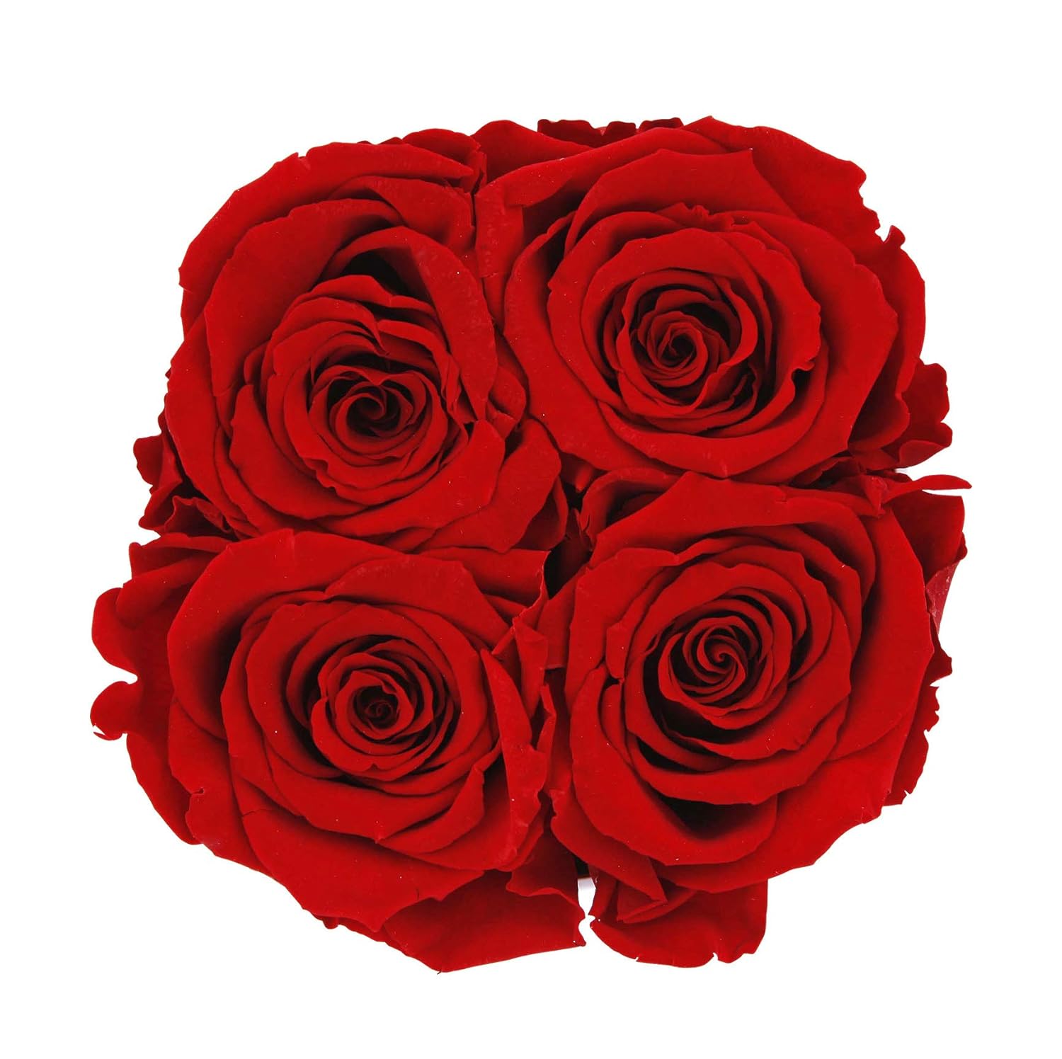 Mia Milano Infitnity Rosen I Rosenbox zum MuttertagI Flowerbox mit