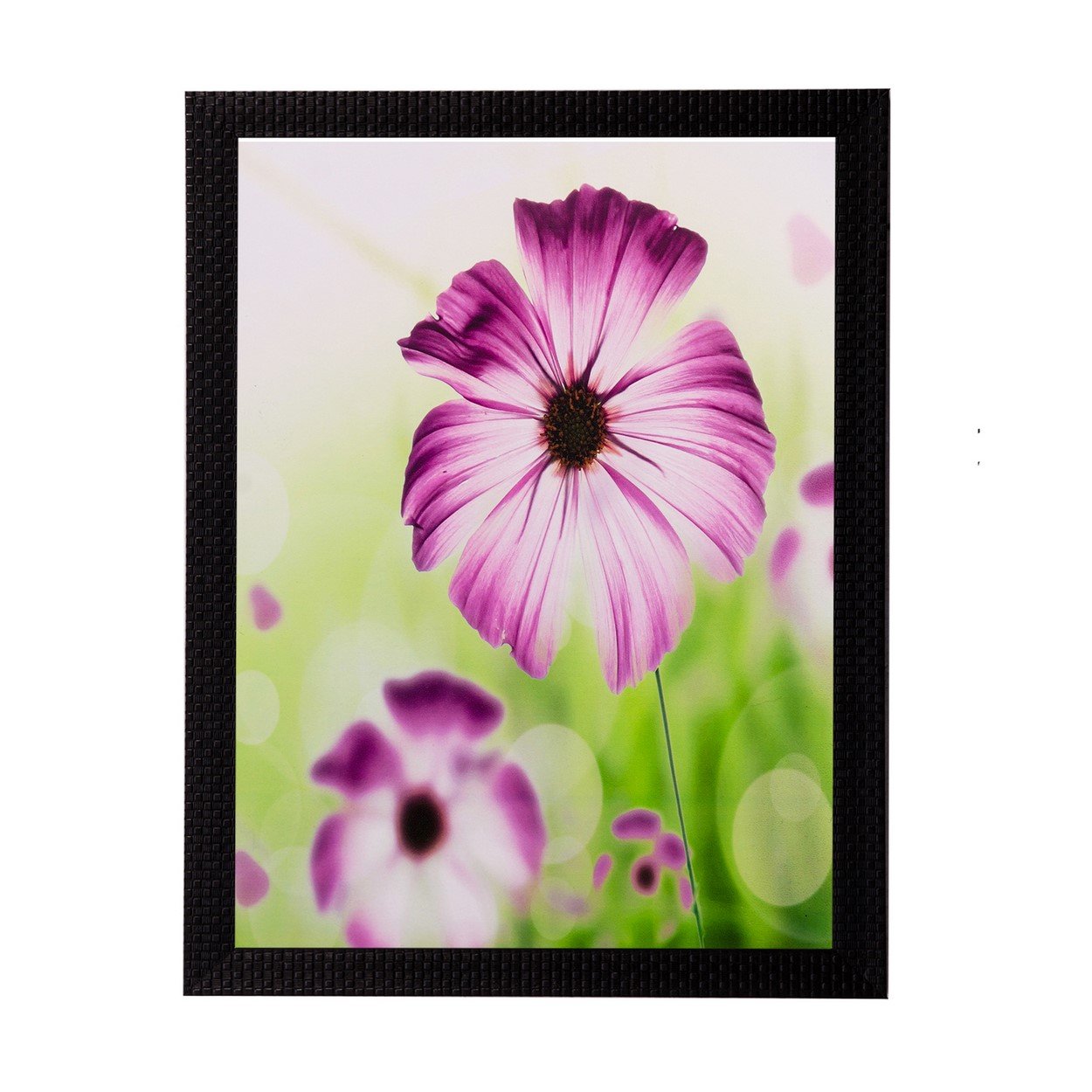 eCraftIndia 'Pink and White Flower' UV Art Painting (Synthetic Wood, 28 cm x 36 cm, Matt Texture)
