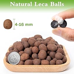 Halatool 6LB Natural Expanded Clay Pebbles for