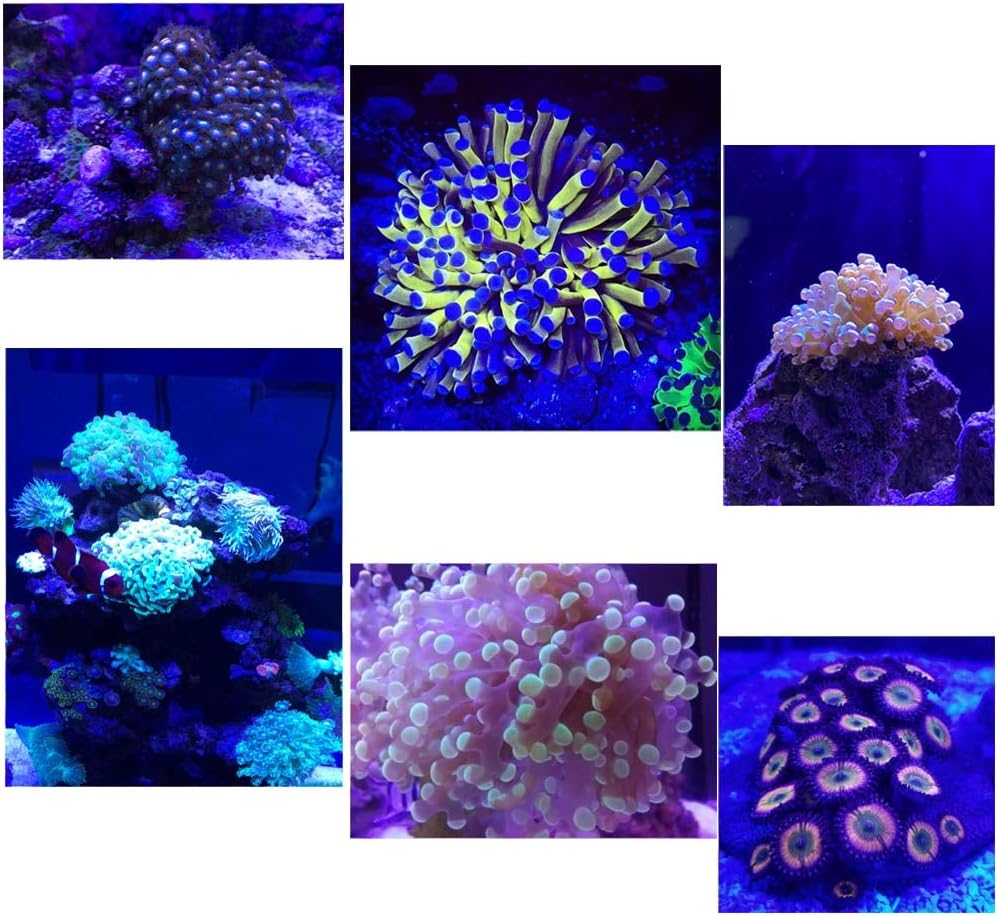 RENQINGLIN Aquarium Light Shannon16 aquarium lamp led for aquarium led lighting coral light saltwaterAquarium Light s led reef tank