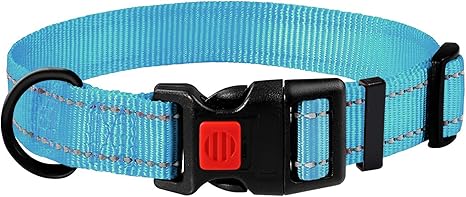 Coleira celeste Clearance
