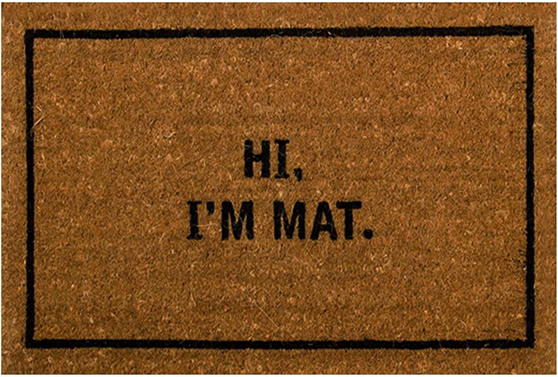 PAPKIU Funny Doormat -'Hi I'm Mat' Entrance Floor Mat Indoor/Outdoor Doormat Decor Rug 23.6x15.7 Inch