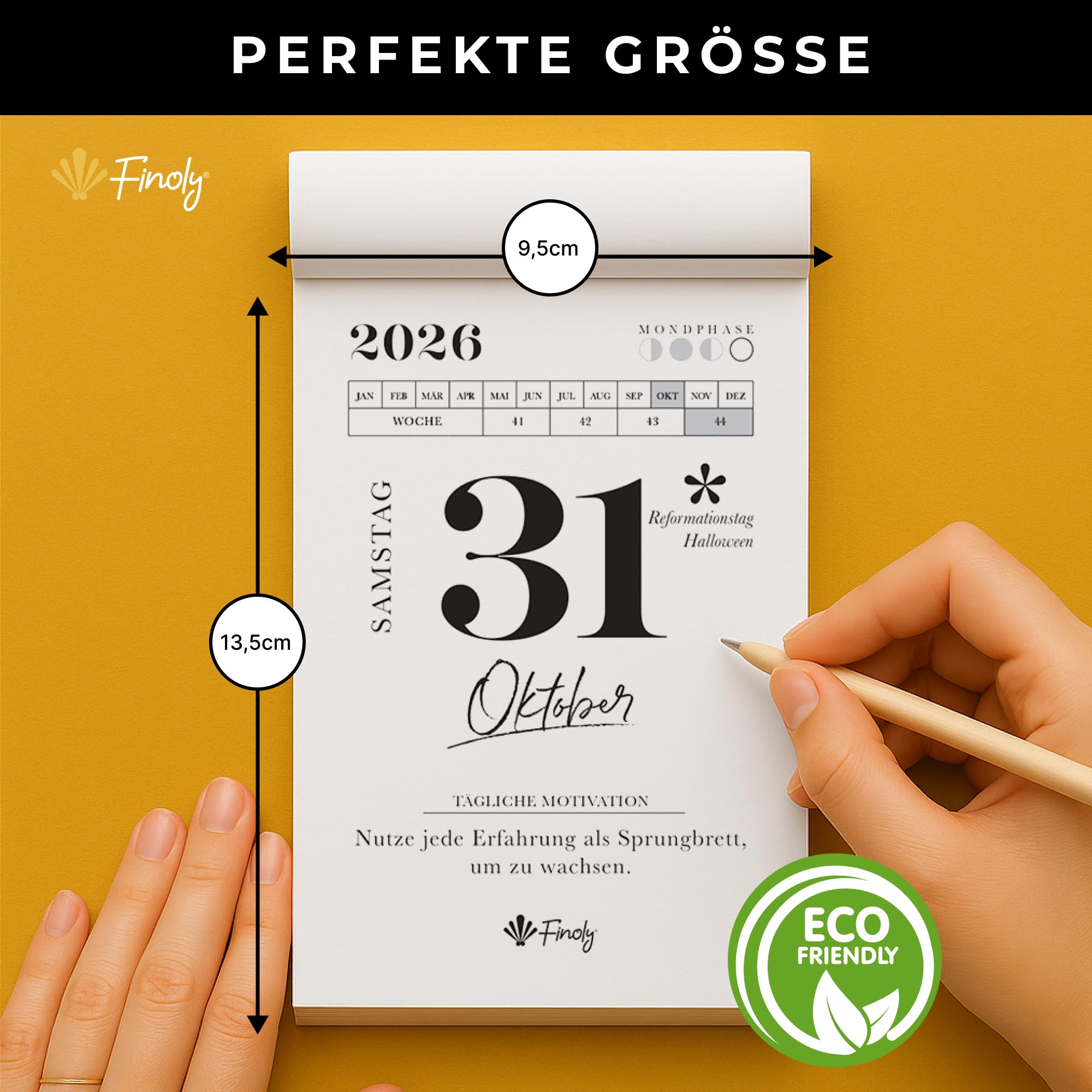 Finoly Tageskalender 2026 Abreißkalender Jan 2026 Dez 2026 (12 Mon) | Abreisskalender 2026 Täglich Lustig für Ruhe & Motivation | Abreißkalender 2026 Sprüche Inspiration, Übungen 13,5x9,5 cm 5