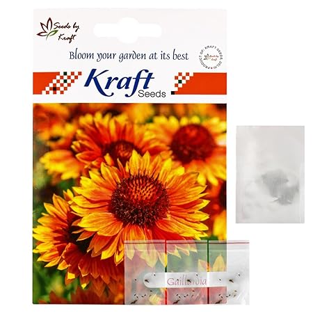 Kraft Seeds Gaillardia Dwarf Goblin 3 in 1 Flower Seed Combo (Pack of 3)
