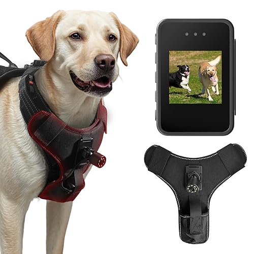 Dog Harness Camera, 1080P Camera with 1.54” Video Playback Function Screen, Record Dog Play, Hunting and Interaction Moment from a First-Person Perspective, 32G SD Card (Harness Not Included)