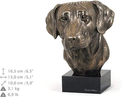 Rhodesian Ridgeback Hund Marmor Statue Kopf Limitierte Edition Art Dog Amazon De Baumarkt Rhodesian Ridgeback Hund Marmor Statue Kopf Limitierte Edition Art Dog Amazon De Baumarkt