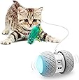 Interactive Robotic Cat Toys,Automatic Irregular USB Charging 360 Degree Self Rotating Ball,Automatic Feathers/Birds/Mouse Toys for Cats/Kitten,Build-in Spinning Led Light，Large Capacity Battery