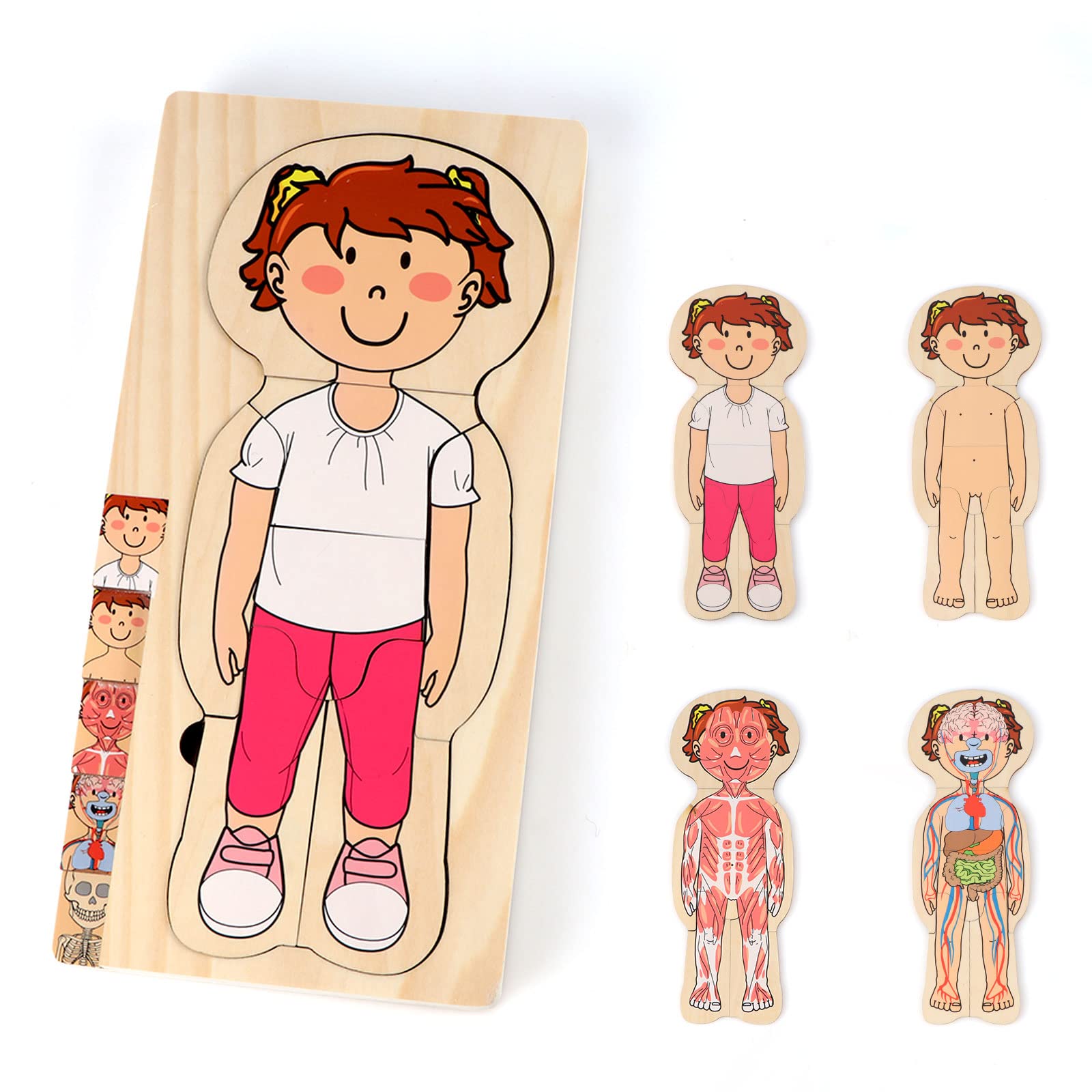 KABENFIS 29 Piece Girls Anatomy Play Set wooden Body Puzzle for Kids Boys and Girls