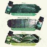 SALKING Nature Fragrance Oils Gift Set Pine Ocean Breeze Rain Fresh Cut Grass view 3