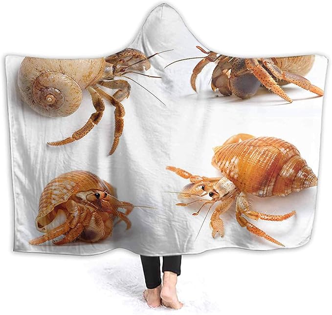 ThinkingPower Outdoor Blanket Theme Set Hermit Crabs Caribbean Sea