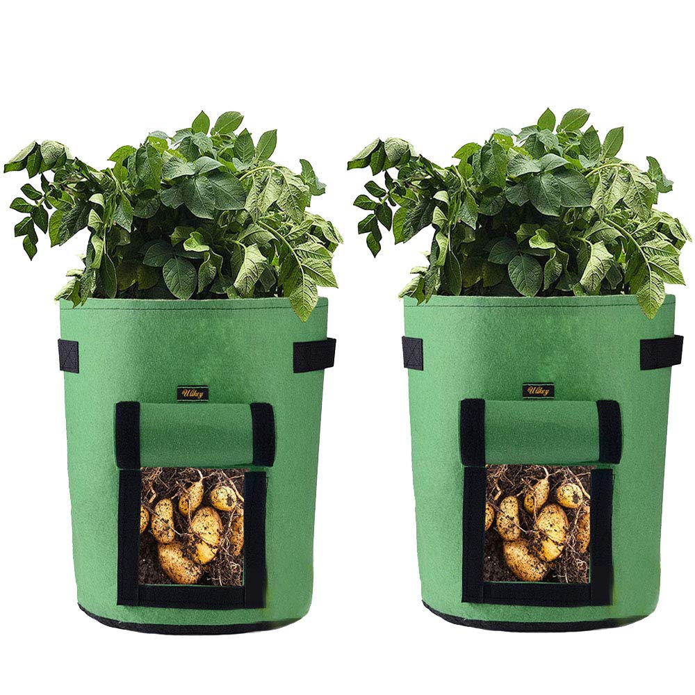 10 Sacchetti Per Piante In Tessuto Non Tessuto - Ideali Per Orto, Balcone, Pomodori E Verdure