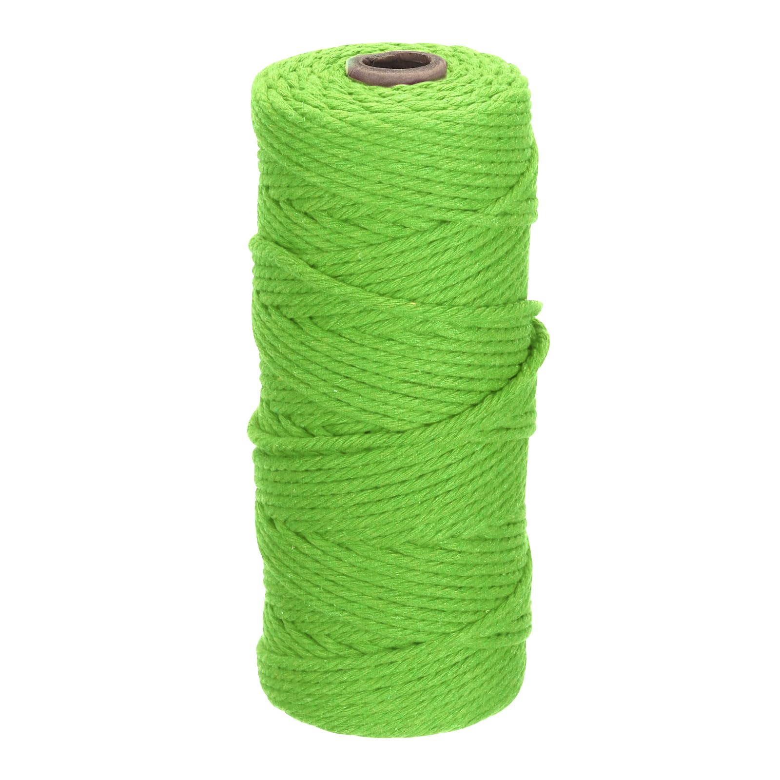 DMiotech 3mm x 100M (109 Yard) Fruit Green Natural Cotton Macrame Rope, Wall Hanging Handmade 2 Strands Twisted Macrame Cotton Cord for Plant Hangers, Gift Wrapping Wedding