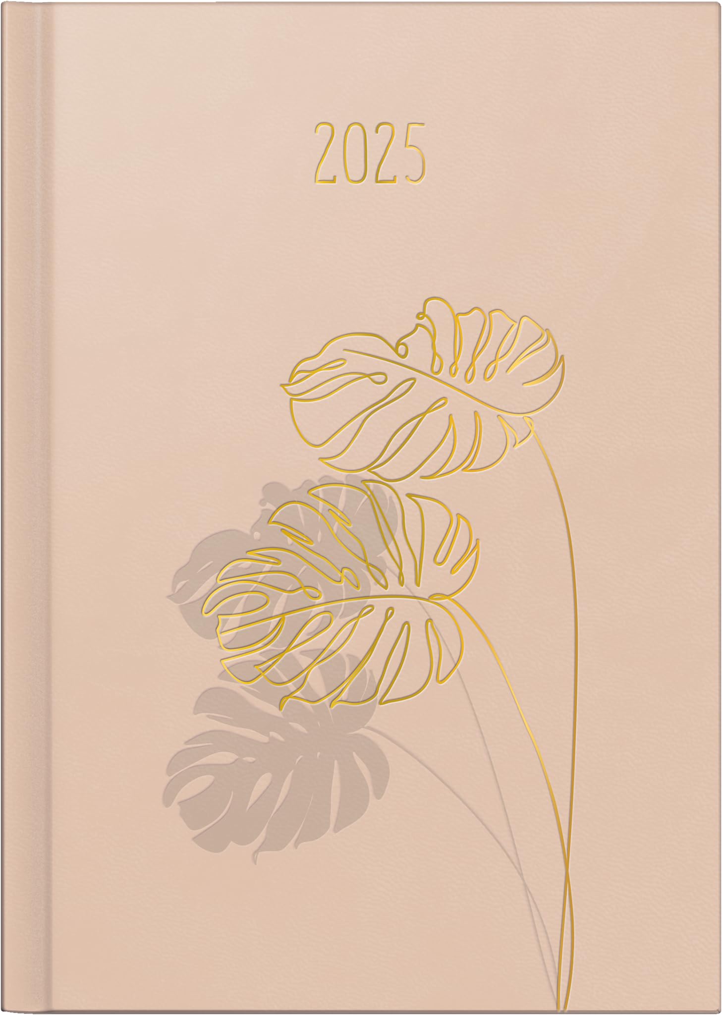 rido/idé Book Calendar Model Mentor 2025 "Monstera" | A5, Faux Leather