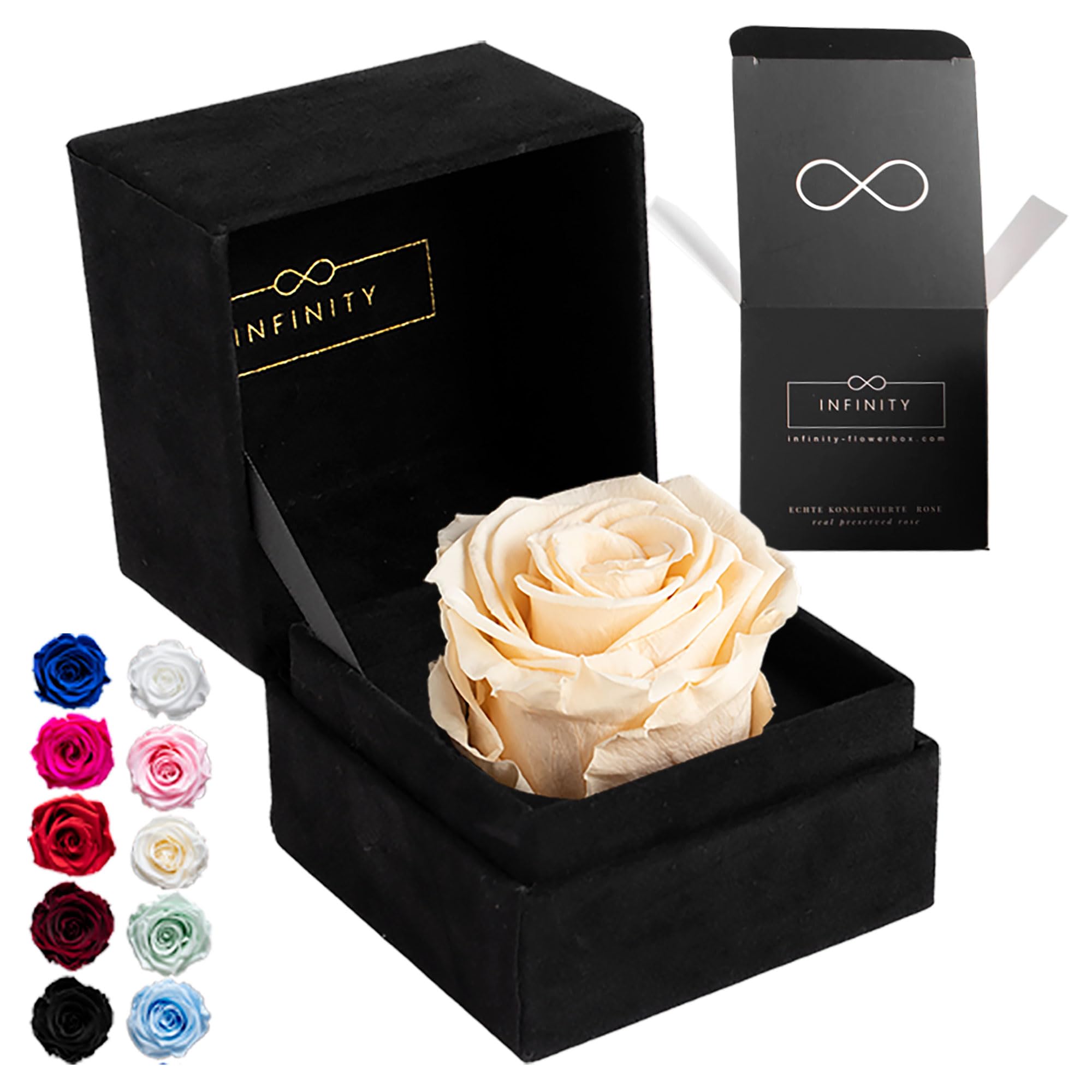 Infinity Flowerbox Single - 1 real preserved rose - Champagne - lasts for years without water | the perfect present