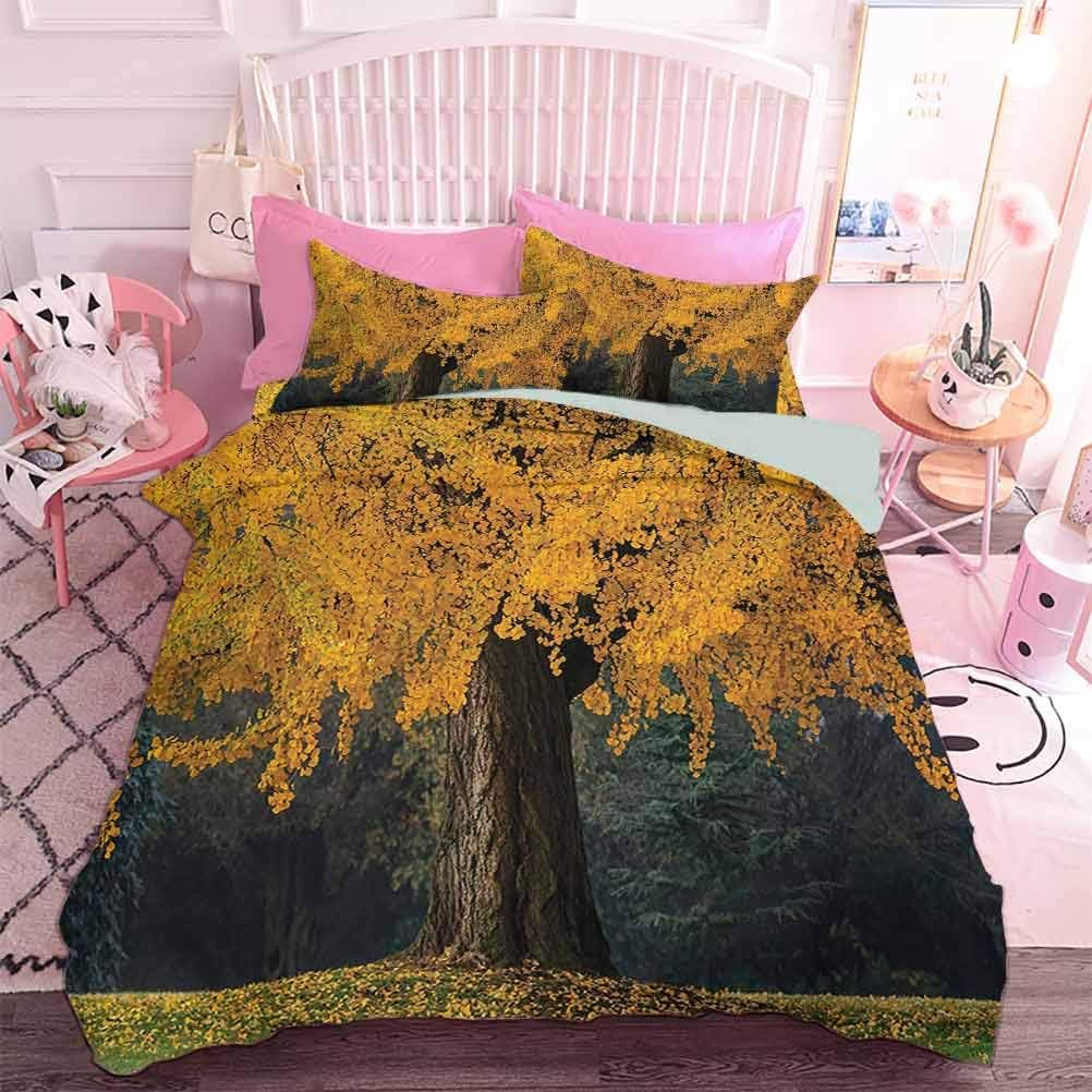 Hiiiman Bedding Sets 3 Piece an Old Tree with Leaves During Fall