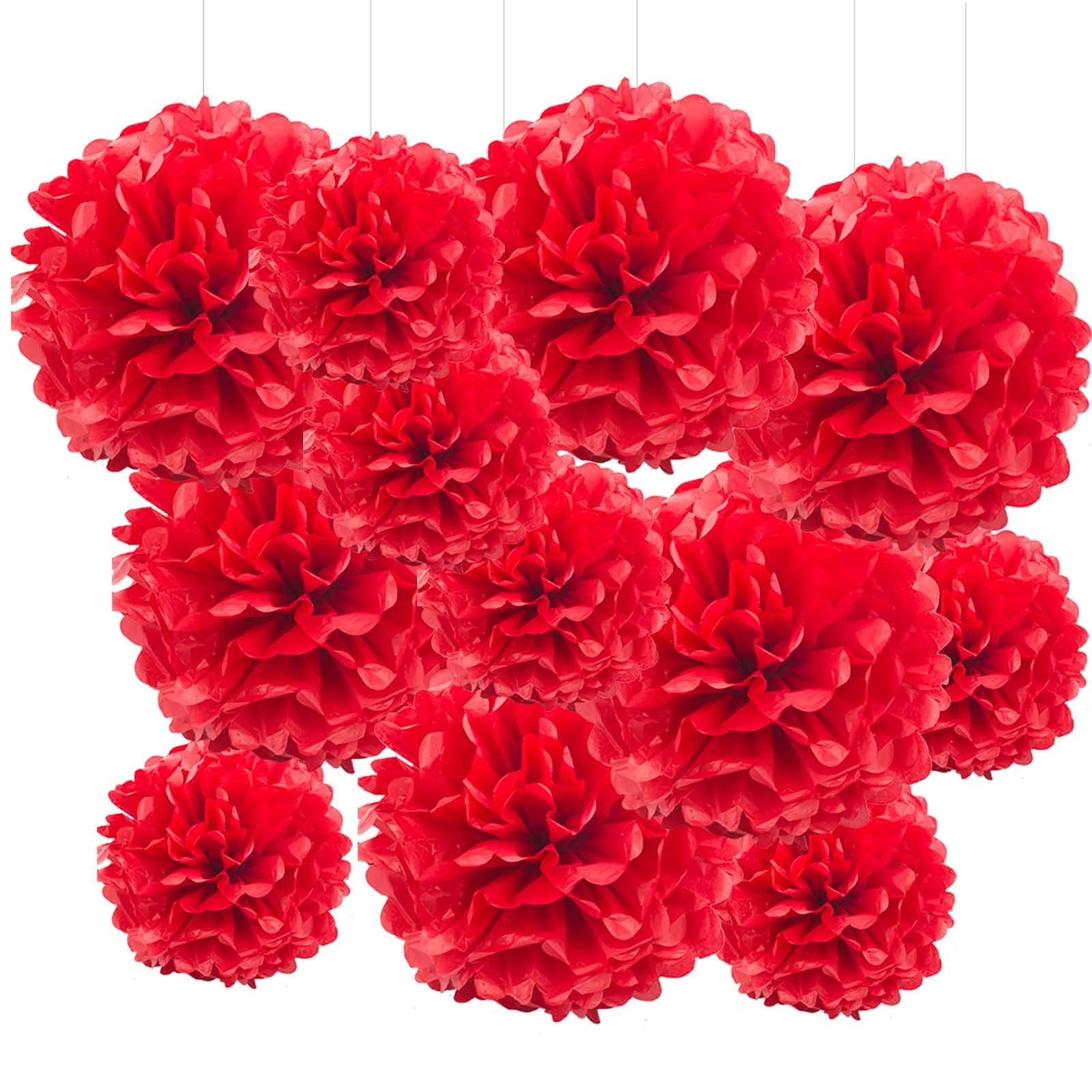 GAKA FAVOR Red Tissue Hanging Paper Pom Poms, Flower Ball for Wedding Birthday Party Decoration (6Pcs 12in & 6Pcs 10in)