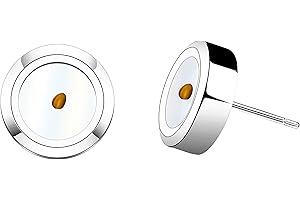 HOLLP Faith Jewelry Religious Earrings Real Mustard Seed Earrings Christian Gift Inspirational Gifts